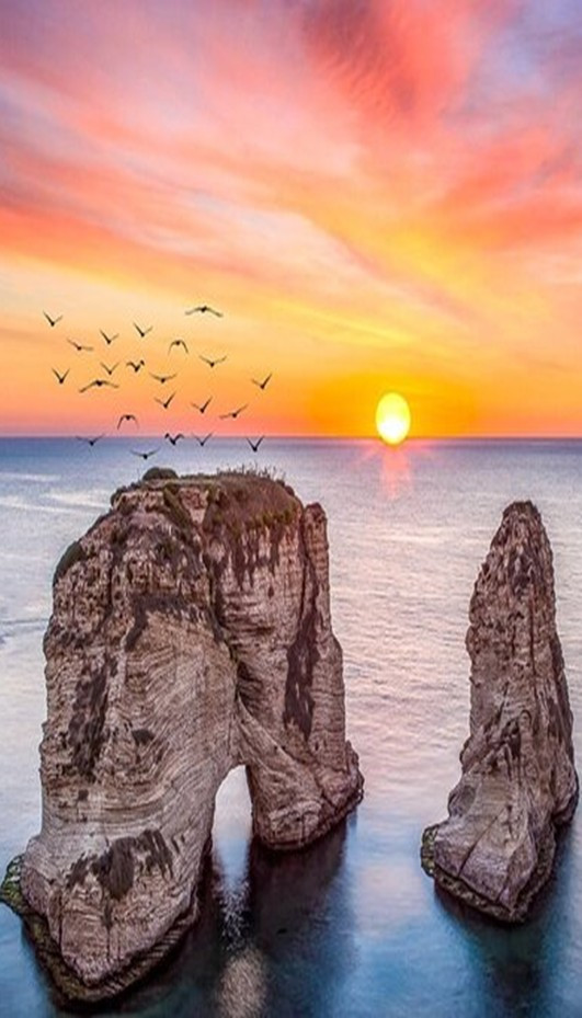 Bioss Lebanon
